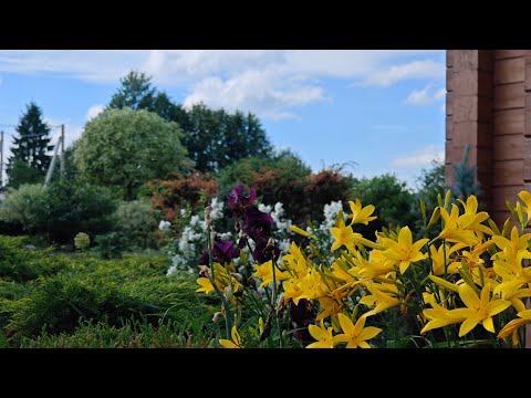 Видео: прогулка по саду и не только