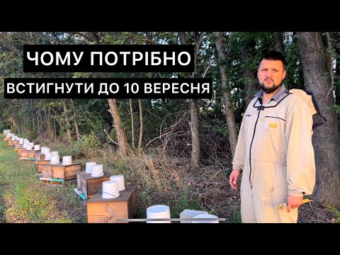 Видео: Загодівлля бджіл на зиму