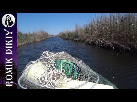 Видео: Открытие летнего сезона рыбалки 2018г. Прибалхашье (р-н пос. Жидели)