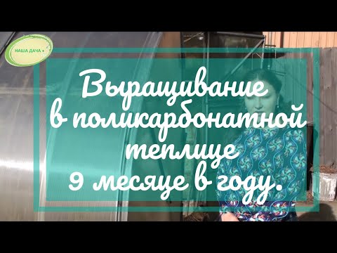 Видео: Выращивание в поликарбонатной теплице 9 месяцев в году в Сибири.   Долгих Анна