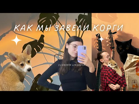 Видео: Влог #4 | Исполнение мечты | как мы завели щенка корги | зимние и весенние дни | распаковки с озона