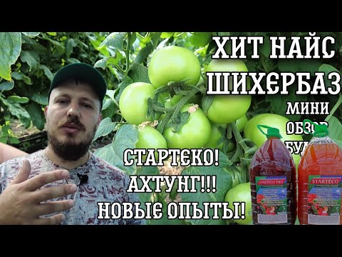 Видео: Опыт со СТАРТЕКО. ХИТ, Шихербаз, НАЙС. ЕСТЬ ЛИДЕР