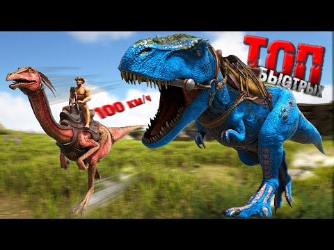 Видео: ТОП 50 Самых Быстрых Наземных Существ в ARK: Survival Evolved I Гайд по скорости