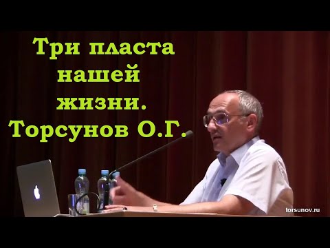 Видео: Три пласта нашей жизни. Торсунов О.Г.