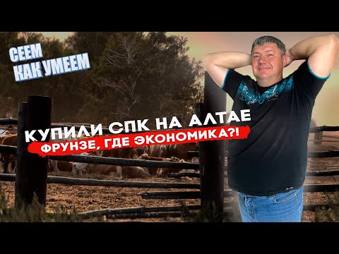 Видео: А ТАК МОЖНО? О том, как мы купили колхоз на Алтае и посеяли БЕЗ УДОБРЕНИЙ.