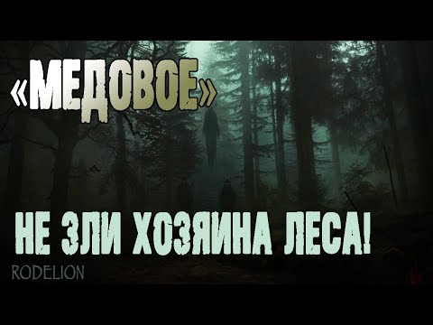 Видео: Страшные истории про лес. Медовое - В. Болдырев. Истории на ночь. Мистика. Ужасы про лес