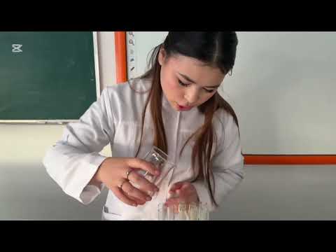 Видео: 6 ноября 2025 г.