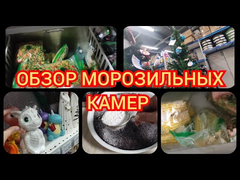 Видео: 11.2023 Обзор моих морозильных камер и ларя//Чем же забиты морозилки?//Новогоднее настроение...