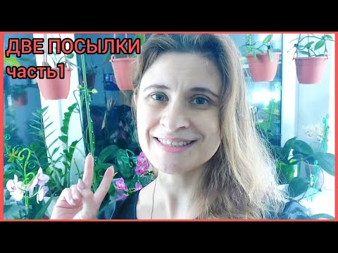 Видео: Часть 1🌸Пришли две посылки одновременно📦📦Комнатные #растения 🌱Редкость+новинка+хотелка🌸 #цветы