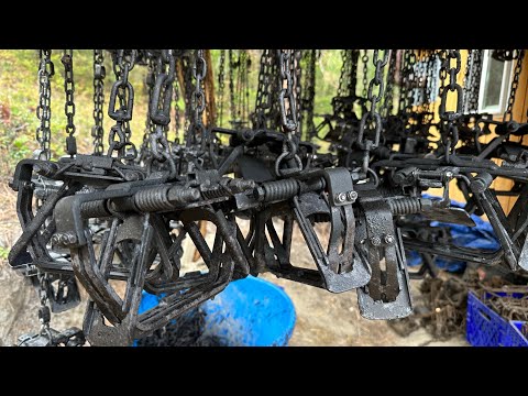 Видео: Помощь начинающему охотнику на волков. Как должен выглядеть отлов волков