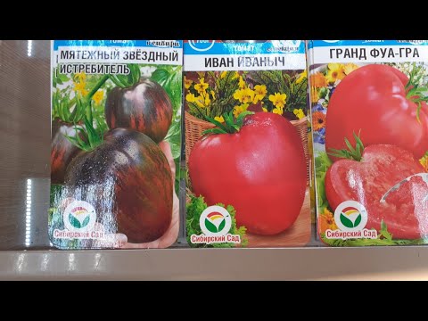 Видео: Новинки томатов от Сиб. САДА для теплиц.