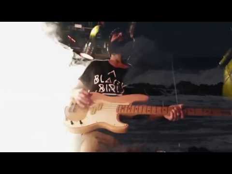 Видео: BLACKBIRD ОКЕАН