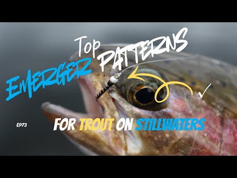 Видео: Ловля на незамеченной стадии: 4 лучших модели появления форели в стоячей воде