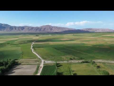 Видео: 9 августа 2024 г.