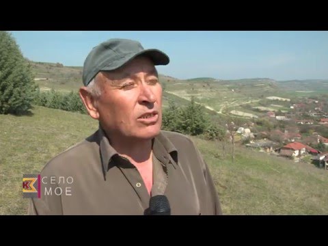 Видео: Село Мое Студена Бара 13 04 2016