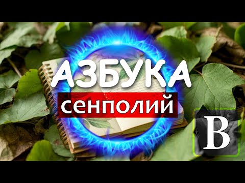 Видео: Азбука сенполий - В
