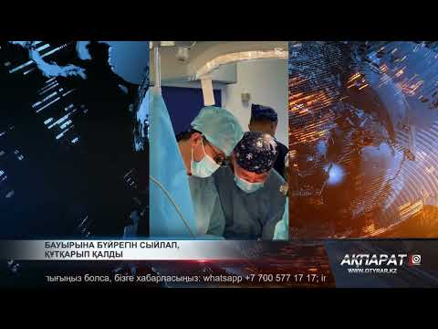 Видео: Бауырына бүйрегін сыйлап, құтқарып қалды