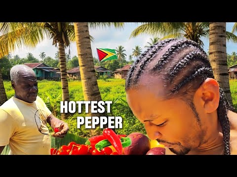 Видео: Гайана: страна, которая кормит себя сама 🇬🇾