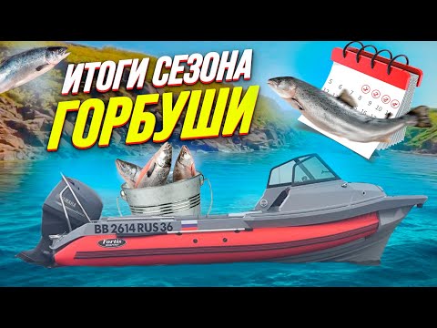 Видео: итоги сезона Горбуши 2025
