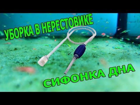 Видео: Для начинающего рыборазводчика, уборка в аквариуме с мальком