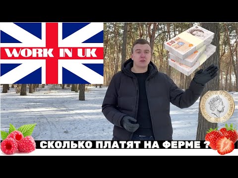 Видео: СКОЛЬКО МОЖНО ЗАРАБОТАТЬ НА СЕЗОННОЙ РАБОТЕ В ВЕЛИКОБРИТАНИИ? МОИ МЫСЛИ ЗА 6 МЕСЯЦЕВ РАБОТЫ НА ФЕРМЕ