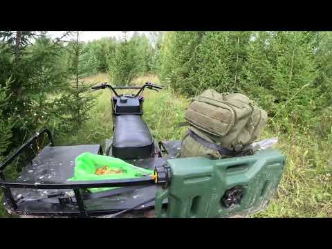 Видео: Трицикл СР-32 Тайфун, едем за грибами, за рыжиками!