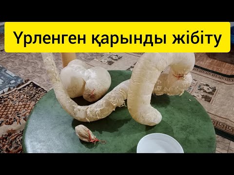 Видео: Қарынды май салуға дайындау.