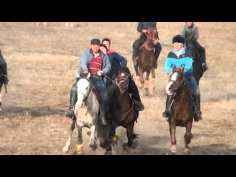 Видео: Кокпар Шардара Кызылкум ауылы Данияр 29.11.2015 ж. 3-болим (1-4 болим)