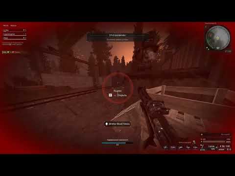 Видео: Арты, дропы, читерсы | STALCRAFT X