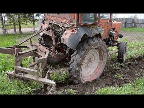 Видео: Сажаем картошку под плуг