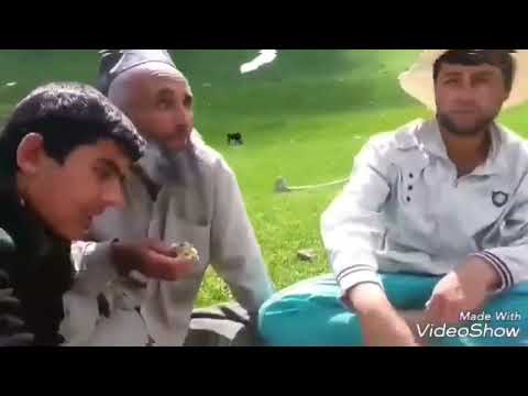 Видео: Киштукори баҳори мардуми дехкони дехаи дегдонак