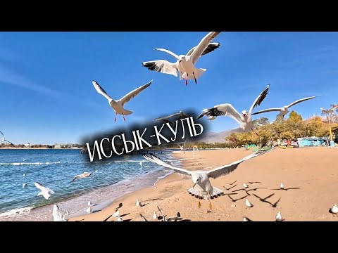 Видео: Чолпон-ата. 