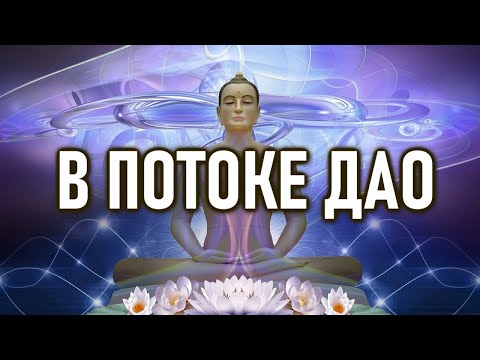 Видео: ДАО уже происходит | ОШО