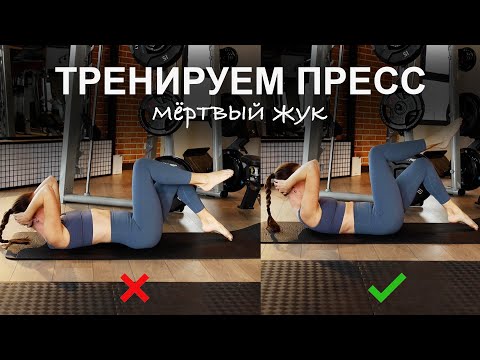 Видео: Мёртвый жук. 🔥Лучшее упражнение для пресса! Как правильно сделать. Тренировка пресса.