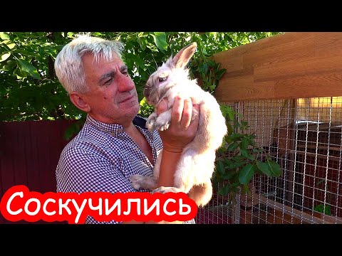 Видео: VLOG Дома так хорошо, на море не тянет