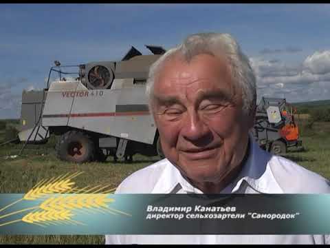 Видео: Фильм к дню работника сельского хозяйства Нижегородской области (2016 год)