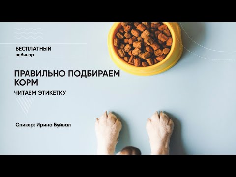 Видео: Вебинар «Как правильно выбрать сухой и влажный корм. Уметь читать этикетку»