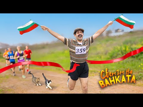 Видео: МАРАТОН С КОТКИ