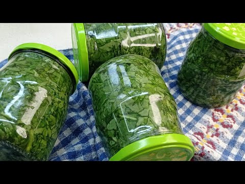Видео: ЩАВЕЛЬ за 5 МИНУТ ХОЛОДНЫМ способом.Заготовка на зиму.