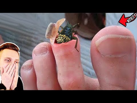 Видео: ПОПРОБУЙ НЕ СКАЗАТЬ ФУ и НЕ ЗАЛИПНУТЬ! САМОЕ НЕ ПРИЯТНОЕ ВИДЕО в ТИКТОКЕ - Скажи ВАУ Челлендж Райли