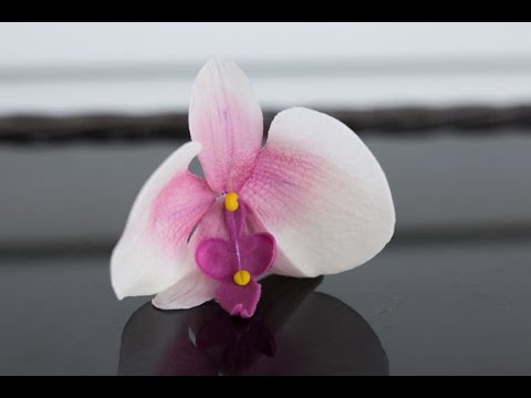 Видео: Как сделать орхидею из мастики