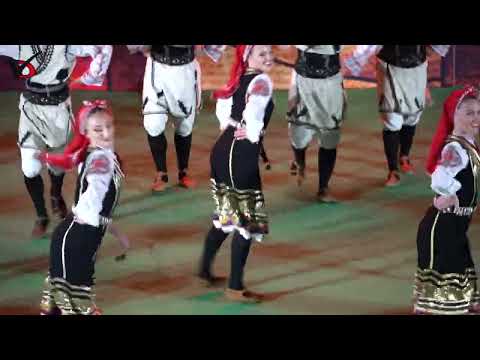 Видео: Пълна зала „Добротица“ се наслади на концерта „Ръка за ръка“