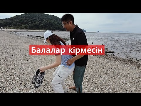 Видео: Кореяда кафе мәдениеті | Кореяда балалар кіруге болмайтын кафе