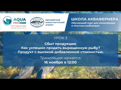 Видео: Урок 3