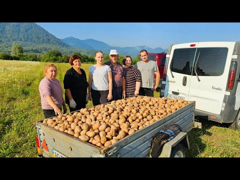 Видео: 🇺🇦🥔Життя в Селі. Збір Картоплі. Допомагаємо Батькам. Дякуємо Богу за Щедрий Урожай.🥔🇺🇦