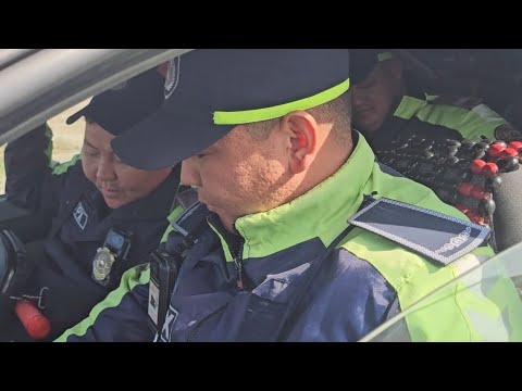 Видео: НИМАГА АЙРИМ ГАИ ХОДИМЛАРИ ФУКАРОЛАРНИ УМУМАН ХУРМАТ КИЛМАЙДИ? #cute #reels #comedy #funny