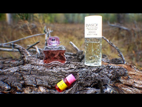 Видео: Моя коллекция парфюмов Bourjois ✨ Evasion 🌅 Kobako 🏵️ Glamour Excessive 🎨