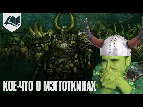 Видео: Кое-что о мэгготкинах