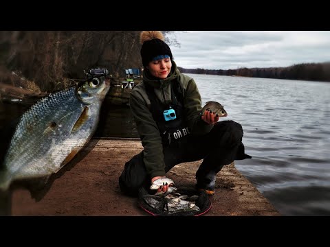 Видео: ФИДЕР весной! Рыбалка С РУСЛА НА ВОДОХРАНИЛИЩЕ. Часть 2 #157