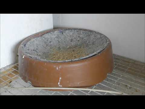 Видео: Выпуск после зимы, обустройство голубятни.